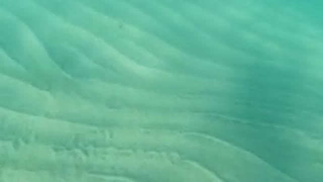 LOS CABOS MEXICO-2019: Video Of Some Dirt Underneath A Large Pool Of Water With