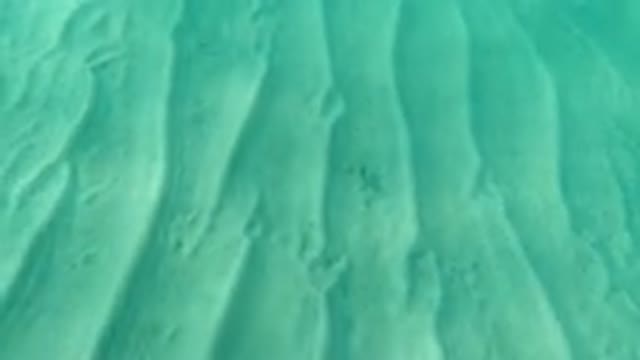 LOS CABOS MEXICO-2019: Tiny Fish On The Water Captured On Camera