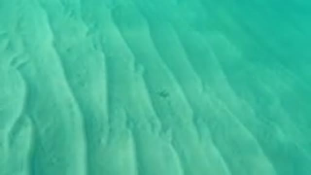 LOS CABOS MEXICO-2019: Blurry Underwater Fish Near Beach Shore