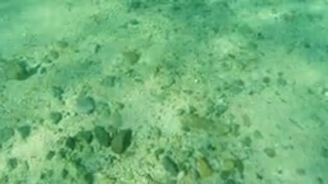 LOS CABOS MEXICO-2019: Underwater Blue Water and Coastal Nature Scenes