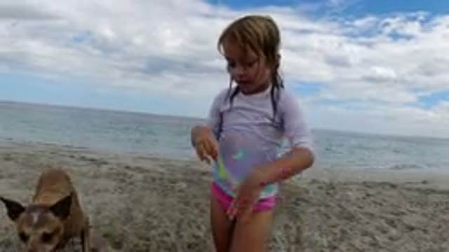 LOS CABOS MEXICO-2019: Little Girl Throwing A Frisbee To Her Dog While Playing