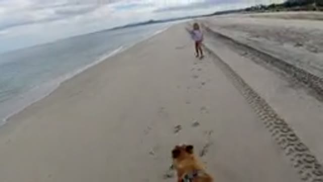 LOS CABOS MEXICO-2019: A Child And A Dog Walking And Running Together In A Beach