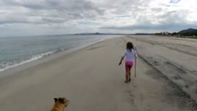 LOS CABOS MEXICO-2019: Child Girl Playing With Dog On Beach Running Fetch