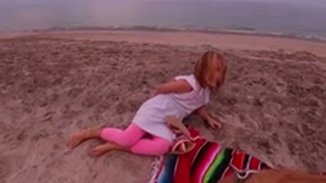 LOS CABOS MEXICO-2019: Fun On The Beach With The Dog Enjoying The Afternoon With