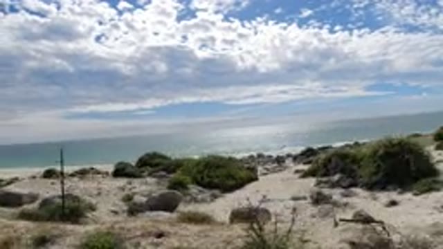 LOS CABOS MEXICO-2019: Driving Through The Beach Road With Sand Vegetation Rocks