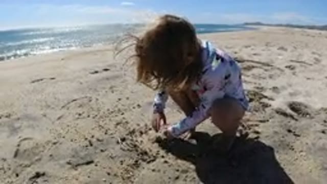 LOS CABOS MEXICO-2019: A Little Girl Picking Up Specs Of Things And Sifting