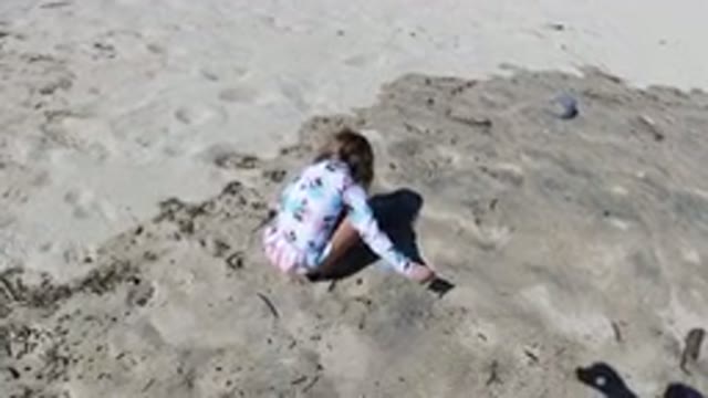 LOS CABOS MEXICO-2019: A Kid Is Playing In The Sand Looking For Something