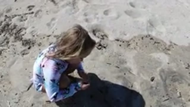 LOS CABOS MEXICO-2019: The Love and Curious Nature of Children with Animals