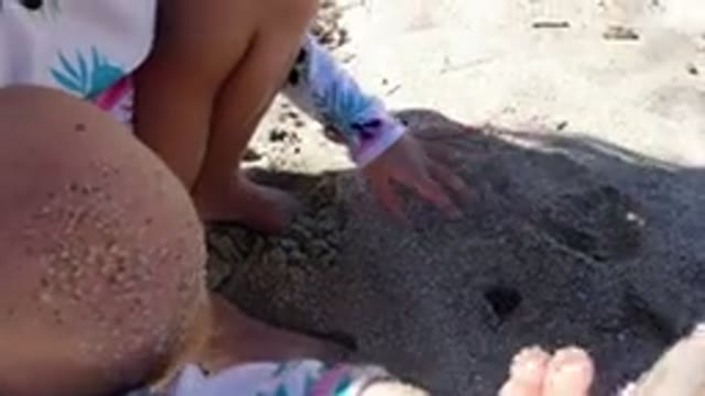 LOS CABOS MEXICO-2019: Kid Finding Objects At The Beach
