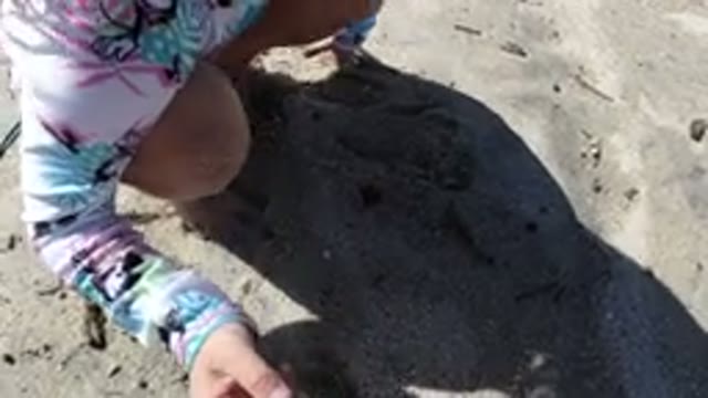 LOS CABOS MEXICO-2019: A Small Girl Digging In The Sand On The Beach