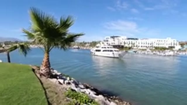 LOS CABOS MEXICO-2019: Drove View Boating Travel To River And Coconut Tree