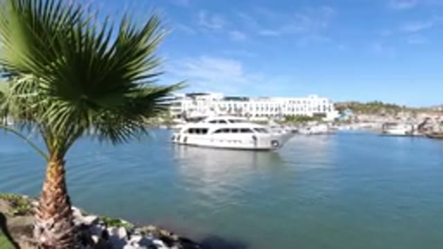 LOS CABOS MEXICO-2019: View From Shore Of Palm Tree Body Of Water And Yacht