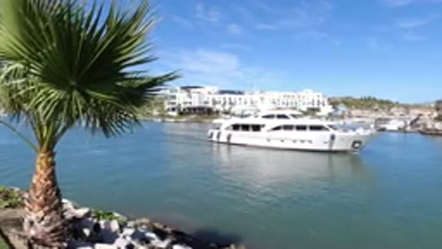 LOS CABOS MEXICO-2019: Cruise Ship Passing Through A Canal Near A Palm Tree With