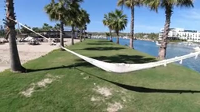 LOS CABOS MEXICO-2019: Hammock Between Palm Trees on a Sunny Beach Near a River
