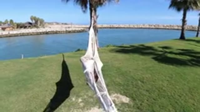 LOS CABOS MEXICO-2019: Hammock In Nature Next To Beautiful Palm Trees And Ocean