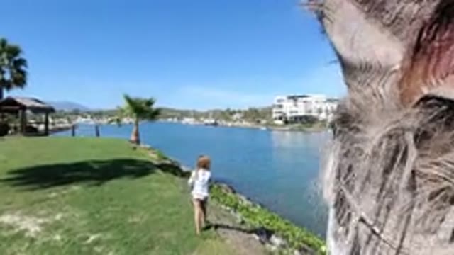 LOS CABOS MEXICO-2019: The Little Girl With Blonde Hair And Swimming Suit Walks