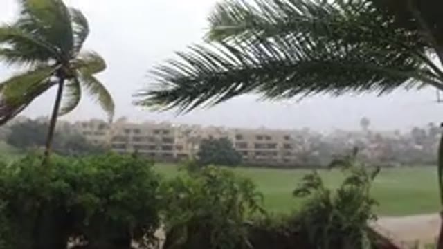 LOS CABOS MEXICO-2019: Storm In Tropical Urban Area Palm Trees Are Swaying In