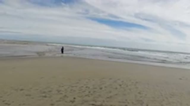 LOS CABOS MEXICO-2019: Man Alone On The Beach Enjoying The Sea And Nature On A