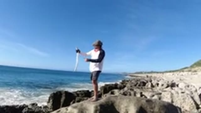 LOS CABOS MEXICO-2019: A Person Is Holding A Fish With The Ocean In The
