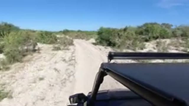 LOS CABOS MEXICO-2019: Rugged Vehicle Drives Across Desert Brown Shrub Lined Path
