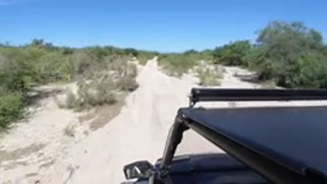 LOS CABOS MEXICO-2019: Amazing And Fun Joyride Experience