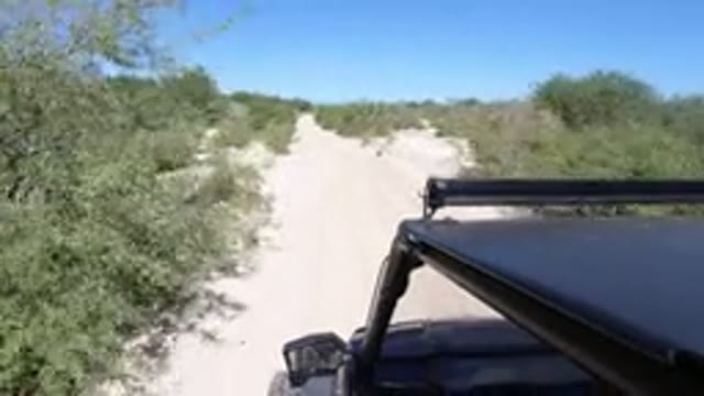 LOS CABOS MEXICO-2019: Vehicle Moves Down Dirt Path With Shrubs On Both Sides