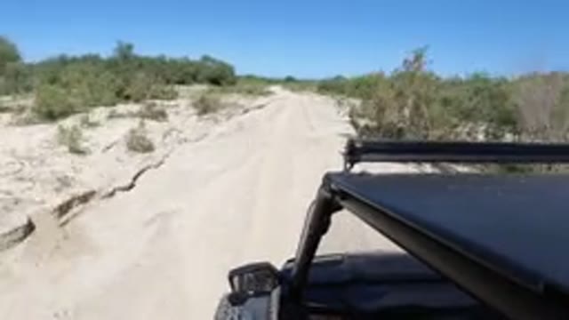 LOS CABOS MEXICO-2019: A Wrangler Mounted To The Roof Of A Jeep As The Jeep Goes