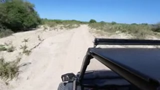 LOS CABOS MEXICO-2019: Driving Through The Desert With A Beautiful View To Be