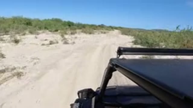 LOS CABOS MEXICO-2019: Black Jeep Driving On A Sandy Outdoor Road