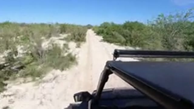 LOS CABOS MEXICO-2019: Dad's Wrangler Moving on Single Track Road Through Nature