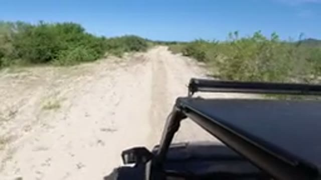 LOS CABOS MEXICO-2019: Camera Mounted On The Side Of A Jeep Going Down The