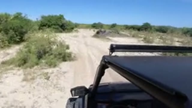 LOS CABOS MEXICO-2019: Wrangler Moving On Single Track Road