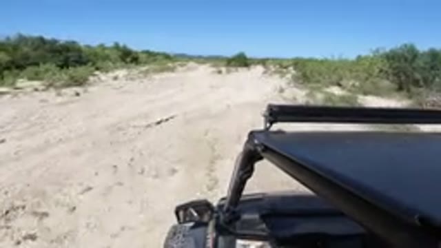 LOS CABOS MEXICO-2019: Person Reading in Sandy Area with Green Brush in Wheeler