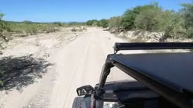 LOS CABOS MEXICO-2019: A Buggy Riding On Sand During A Hot Day As If They Were