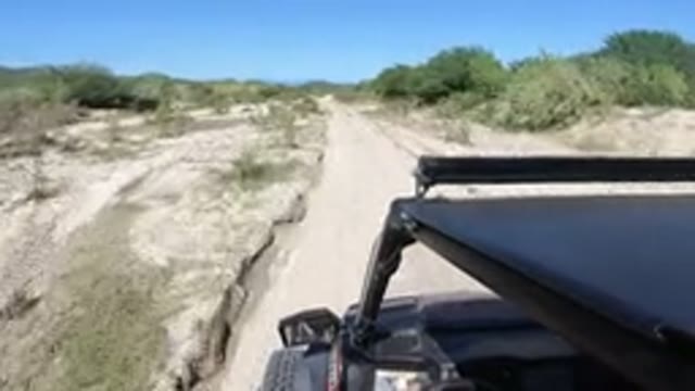 LOS CABOS MEXICO-2019: Driving Wrangler In Hot Region With Sandy Road And Dry Vegetation