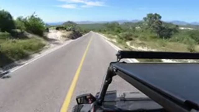 LOS CABOS MEXICO-2019: Man Driving Vehicle Along Side Trees and Mountains