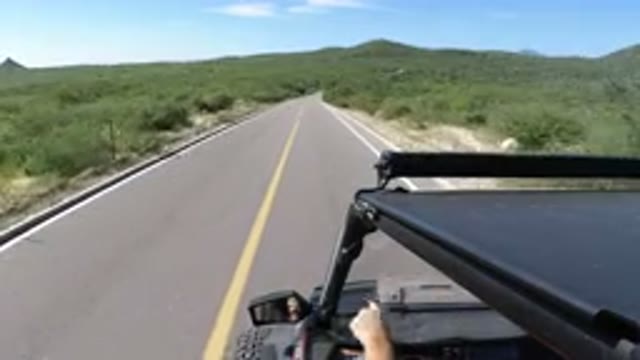 LOS CABOS MEXICO-2019: Man Pointing at Trees While Driving