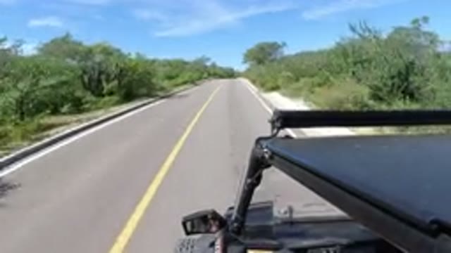 LOS CABOS MEXICO-2019: A Vehicle Driving On A Narrow Road With A Lot Of Green Grass
