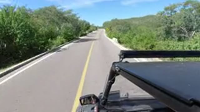 LOS CABOS MEXICO-2019: A Jeep Trip Down A Two-Way Road Surrounded By Medium Trees