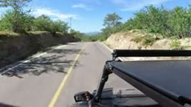 LOS CABOS MEXICO-2019: Fast Moving Vehicle Along Side Trees