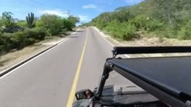 LOS CABOS MEXICO-2019: On The Road Ready To Go