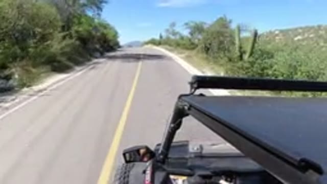LOS CABOS MEXICO-2019: Vehicle Moving Empty Road Both Side Trees