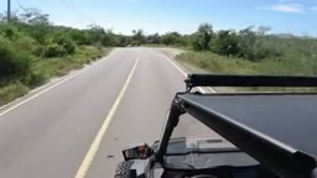 LOS CABOS MEXICO-2019: Single Road Track With Trees Around