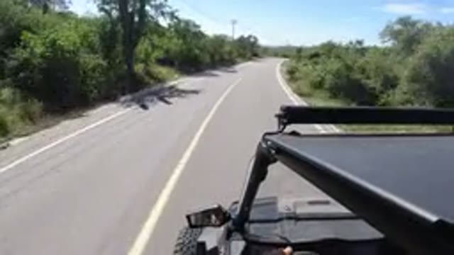 LOS CABOS MEXICO-2019: Video Of A Camera Mounted On Top Of A Jeep As The Jeep