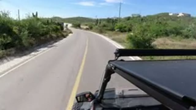 LOS CABOS MEXICO-2019: A Wrangler Quickly Drives Down A Road With Flora On Both Sides