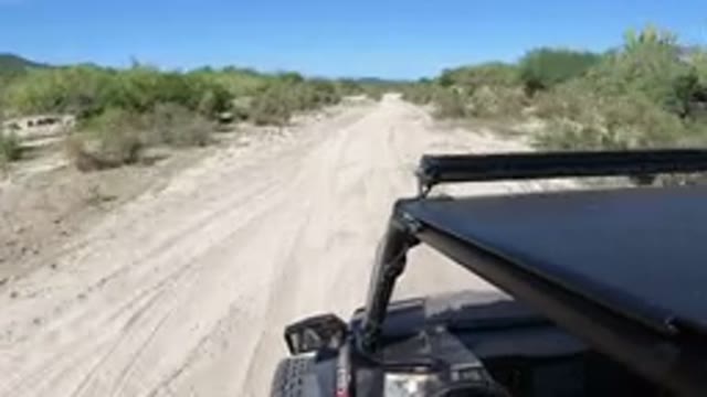LOS CABOS MEXICO-2019: A Dune Buggy Drives Down A Sandy Path On A Sunny Day