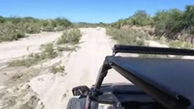 LOS CABOS MEXICO-2019: A Wrangler Drives Down The Tropical Countryside