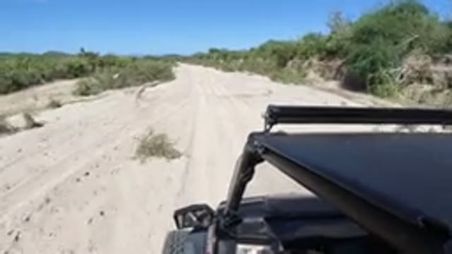 LOS CABOS MEXICO-2019: Amazingly New Wrangler Drives Along The Two-Way Clean