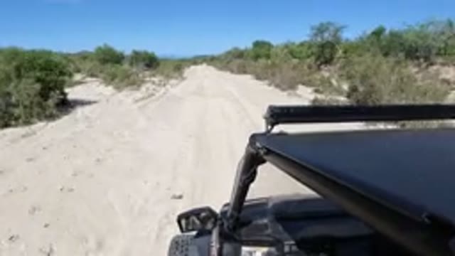 LOS CABOS MEXICO-2019: A Vehicle Driving On A Rocky Road Surrounded By Grass