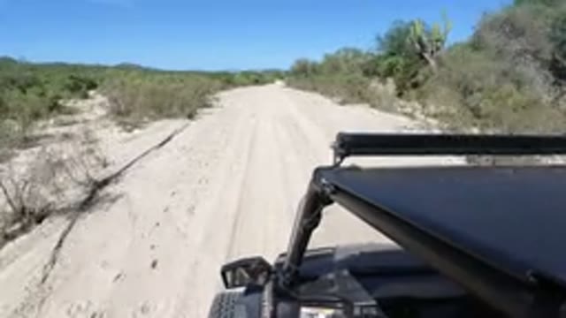 LOS CABOS MEXICO-2019: View From A Vehicle Traveling Along A Dirt Road In The Desert